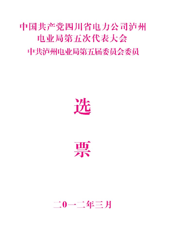 電力系統換屆選舉